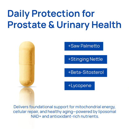 NAD+ Energy & Focus Compound