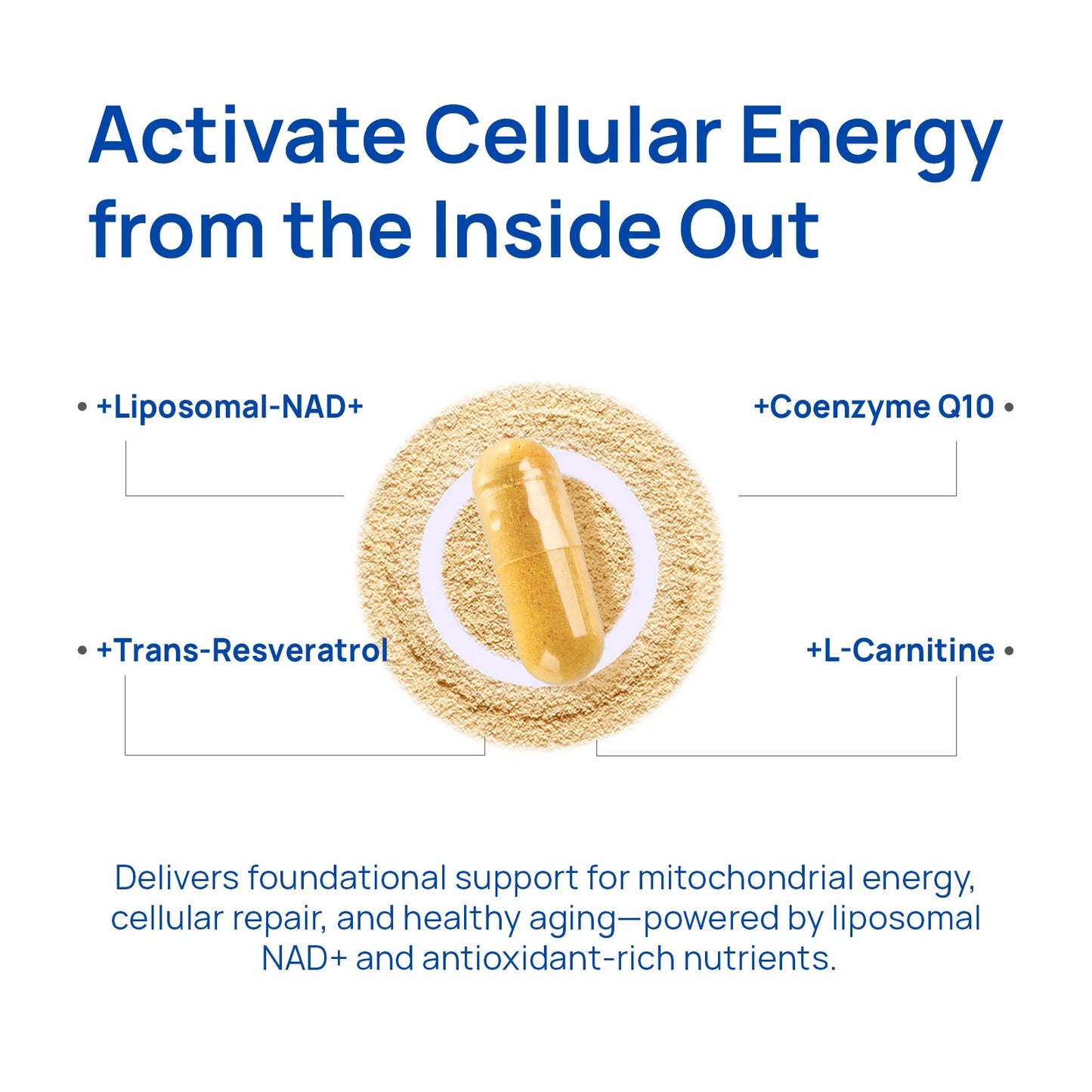 NAD+ Energy & Focus Compound